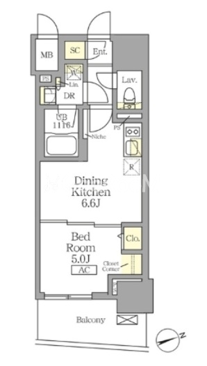 1DK