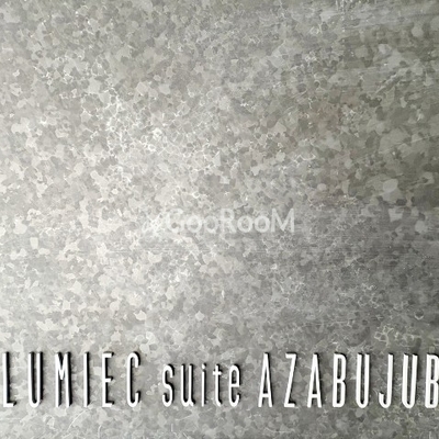 
									ルミークスイート麻布十番 物件名