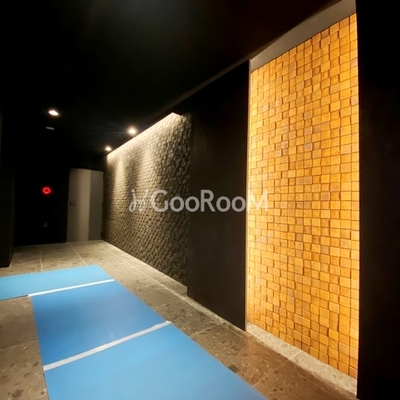 
									オープンブルーム入谷イースト エントランス2