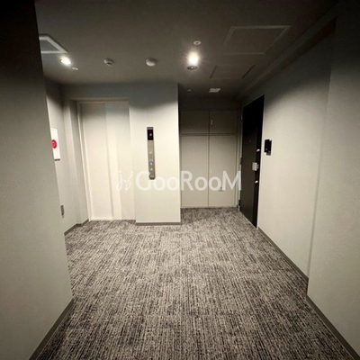 
									アリビス十条　廊下1