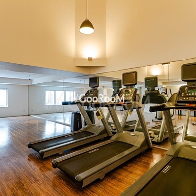 
									パークアクシス豊洲キャナル  ジム