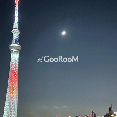 
									シーフォルムネクスト向島　眺望