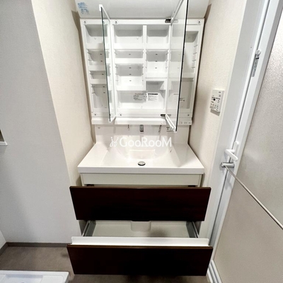 
									ラグゼナ秋葉原 洗面台収納