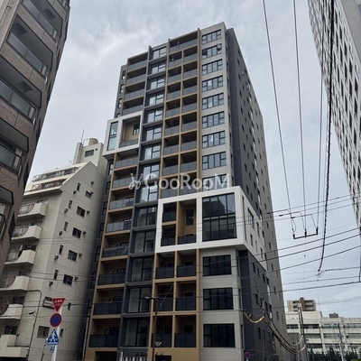 
									ルミーク錦糸町 外観