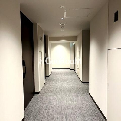 
									ウエリスアーバン錦糸町の廊下